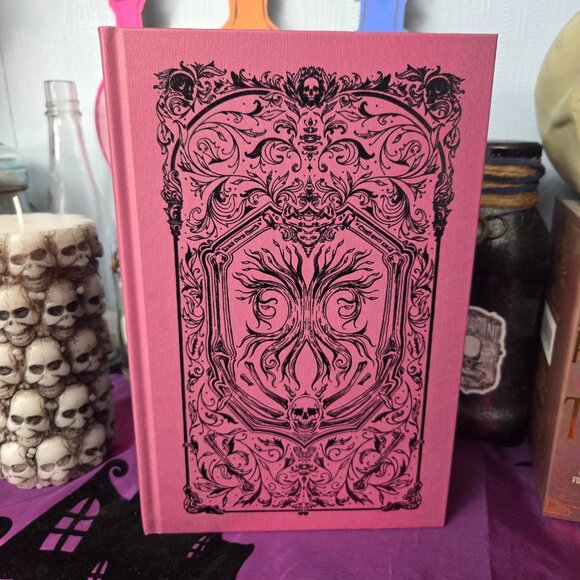 Immortal Consequences by I.V. Marie Fairyloot August 2025 Behind The Veil - Picture 5 of 10